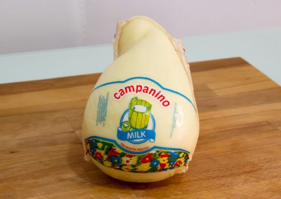 campanino